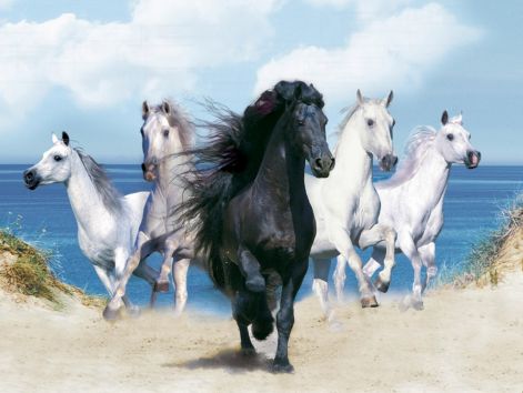 animals-wallpapers-fantasy-beautiful-horses.jpg